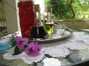  Apartment Gogol  Трогир